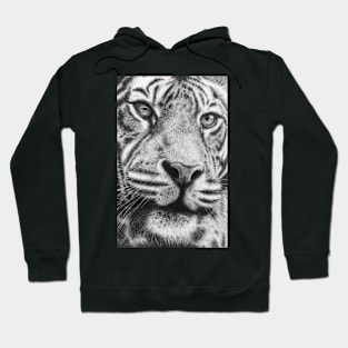 Wildlife Tiger Portrait Hoodie